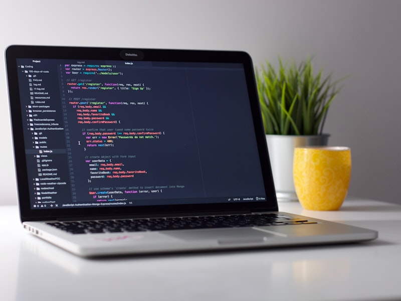 Computer / IT Specialist