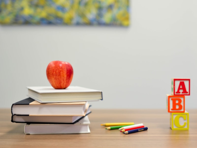Tutor / Teacher